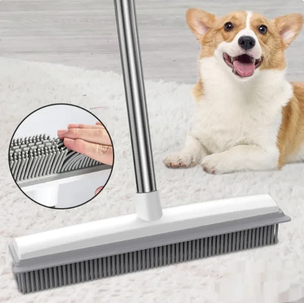 Pet Hair Broom